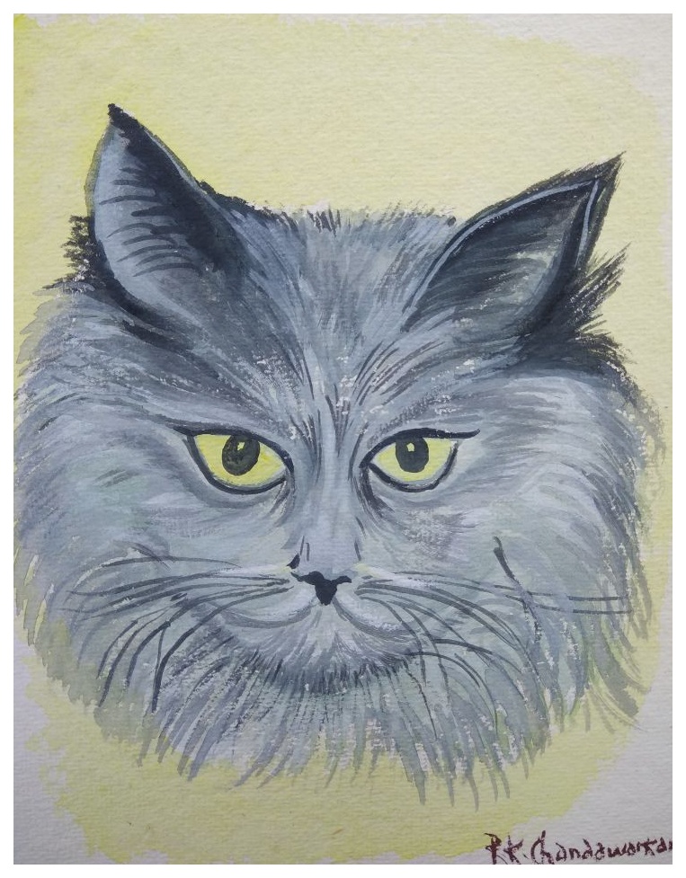 img 20180109 wa0017 01