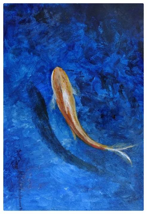 img 20180109 wa0022 01