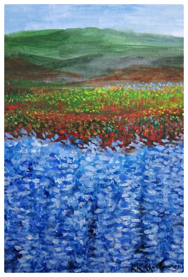 img 20180109 wa0026 01